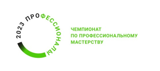 I этап чемпионата по профессиональному мастерству «Профессионалы» по компетенции «Предпринимательство» в категории «Юниоры».